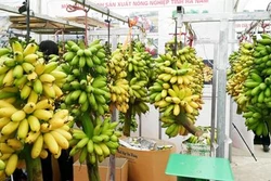 7 món đặc sản nhắc đến là thèm của Hà Nam