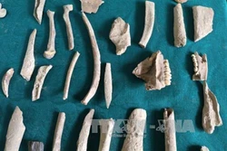 Khai quật di chỉ tiền sử hang Pắc Tà