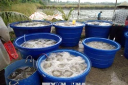 Kiên Giang thực hiện tốt chính sách đối với các xã đặc biệt khó khăn vùng bãi ngang ven biển