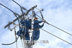 Dự án đường dây 220 kV Nam Sài Gòn - quận 8 sẽ hoàn thành trong tháng 10