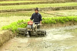 Tiến Bộ khởi sắc nhờ Chương trình 135
