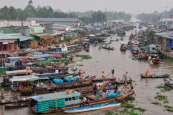 Hàng trăm ghe, thuyền lớn, nhỏ tập trung mua bán, trao đổi hàng nông sản tại khu vực Chợ nổi Ngã Năm. Ảnh: An Hiếu