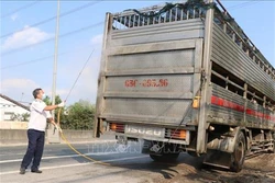 Các địa phương triển khai cụ thể các giải pháp chống dịch tả lợn châu Phi