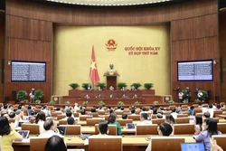 Kỳ họp thứ 5, Quốc hội khóa XV: Thảo luận về tình hình phát triển kinh tế - xã hội