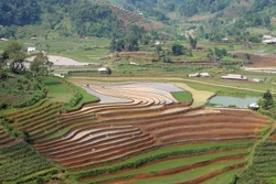 Mùa nước đổ trên những thửa ruộng bậc thang ở Lai Châu