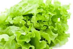 Công dụng ít biết của rau xà lách