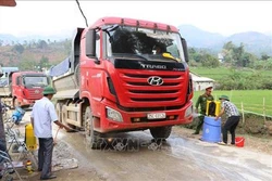 Thành lập Ban Chỉ đạo quốc gia phòng, chống dịch bệnh Dịch tả lợn châu Phi