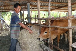 Gương làm kinh tế giỏi của đồng bào Raglai