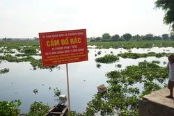 Tây Ninh người dân phản ánh nước sông Vàm Cỏ Đông có màu đen bất thường, kèm mùi hôi lạ