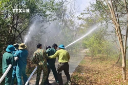 Thực hành phương án phòng cháy chữa cháy tại Khu Bảo tồn loài - sinh cảnh Vườn chim Bạc Liêu. Ảnh: TTXVN