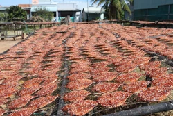 Đa dạng hải sản khô phục vụ Tết Giáp Thìn 