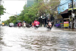 Quảng Ngãi sơ tán 800 hộ dân ra khỏi vùng bị ảnh hưởng bởi nước lũ dâng cao