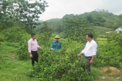 Tuyên Quang hỗ trợ đồng bào dân tộc thiểu số nâng cao đời sống