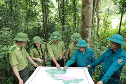Phê duyệt Chương trình phát triển lâm nghiệp bền vững giai đoạn 2021-2025