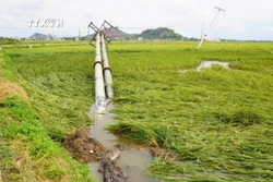Thanh Hóa: Mưa dông kèm lốc, sét khiến 2 người tử vong