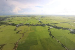 Thứ trưởng Trần Thanh Nam: Xây dựng chuỗi giá trị lúa gạo bền vững gắn với tăng trưởng xanh