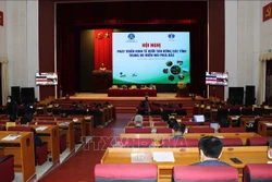 Đánh giá tiềm năng phát triển kinh tế dưới tán rừng vùng Trung du và miền núi phía Bắc