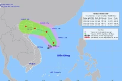 Áp thấp nhiệt đới mạnh lên thành bão số 2