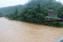 Hơn 30.000 ha lúa, hoa màu bị ngập lụt, úng