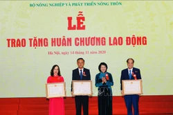Phó Chủ tịch nước Đặng Thị Ngọc Thịnh: Phấn đấu xây dựng nền nông nghiệp thịnh vượng, nông dân giàu có, nông thôn văn minh, hiện đại và an toàn