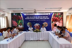 Khai mạc cuộc thi cà phê đặc sản Việt Nam 2022