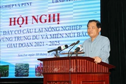 Bộ trưởng Bộ Nông nghiệp và Phát triển nông thôn Nguyễn Xuân Cường phát biểu tại Hội nghị. Ảnh: Nguyễn Cường - TTXVN