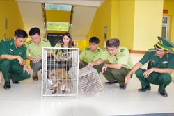 Bàn giao 2 cá thể quý hiếm cho vườn Quốc gia Vũ Quang, Hà Tĩnh