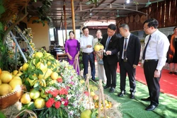Xúc tiến tiêu thụ trên 65 nghìn tấn trái cây Lục Ngạn 
