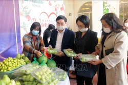 Sơn La phát triển hợp tác xã gắn với tái cơ cấu nông nghiệp
