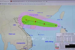 Ứng phó bão số 4 : Bão, mưa lớn và động đất tạo đang tạo ra "tổ hợp bất lợi" cần ứng phó khẩn cấp