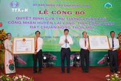 “Thủ phủ” quýt hồng của Đồng Tháp đạt chuẩn huyện nông thôn mới