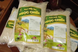Nâng tầm thương hiệu gạo nếp tan Ngọc Chiến