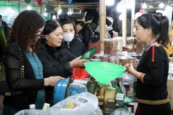 Thái Nguyên lần đầu tổ chức Festival nông sản, OCOP, làng nghề gắn kết du lịch