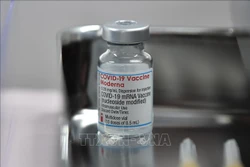 Vaccine và thuốc điều trị COVID-19 có thể giảm hiệu quả trước biến thể Omicron