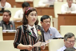 Đại biểu Quốc hội tỉnh Đắk Nông Phạm Thị Kiều phát biểu ý kiến. Ảnh: Doãn Tấn - TTXVN