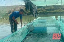 Mô hình nuôi ếch bằng lồng lưới tại xã Quảng Phú, TP Thanh Hóa. Nguồn: baothanhhoa.vn