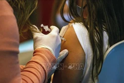Nhiễm Omicron không tạo nhiều phản ứng miễn dịch ở những người chưa tiêm vaccine