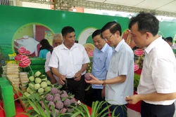 Thái Nguyên kết nối tiêu thụ sản phẩm na và các nông sản chủ lực