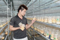 Lâm Đồng công nhận thêm 8 sản phẩm OCOP đợt 1 năm 2021
