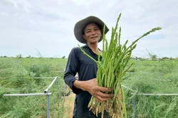 Ước năm 2023, tỷ lệ hộ nghèo theo chuẩn nghèo đa chiều còn 2,93%