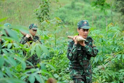 Sự sống nảy mầm trên những vùng “đất chết” (Bài 3)