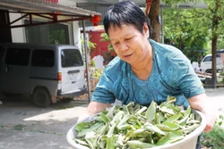 Sự sống nảy mầm trên những vùng “đất chết” (Bài 1)