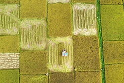 Vĩnh Phúc thêm nhiều giải pháp xây dựng nông thôn mới nâng cao