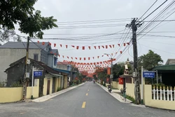 Thanh Hóa xây dựng nông thôn mới kiểu mẫu với các tiêu chí nổi trội