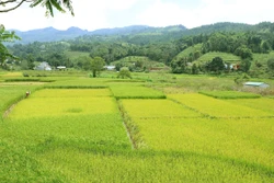 Góp ý dự thảo Luật Đất đai (sửa đổi): Tháo gỡ vướng mắc ở vùng đồng bào dân tộc thiểu số 