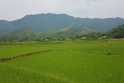 Phát huy nội lực, tạo đà xây nông thôn mới bền vững tỉnh Lào Cai