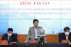 Quang cảnh Hội thảo. Ảnh: Vũ Sinh - TTXVN