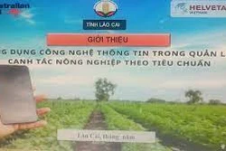 Lào Cai ứng dụng công nghệ trong quản lý, tiêu thụ nông sản