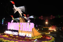 Đường hoa Xuân - Bức họa tinh hoa làng nghề truyền thống vùng Đất Sen hồng