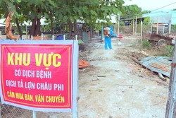 Gia Lai ngăn ngừa dịch bệnh lây lan rộng trên đàn vật nuôi